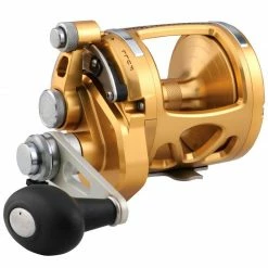 Budget ❤️ PENN International&reg; 16VIS 2-Speed Conventional Reel, Gold 😍