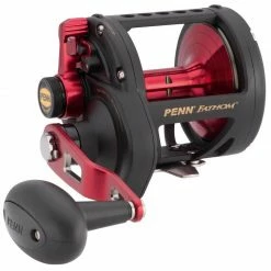 Budget ⭐ PENN Fathom® 60 Lever Drag Conventional Reel 🥰